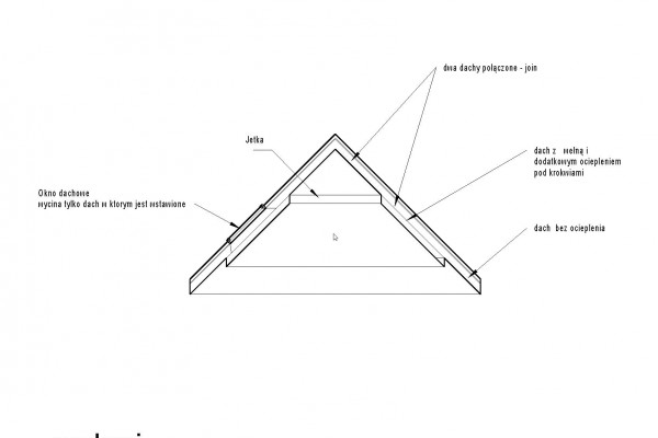 dach_przekroj_procad.jpg