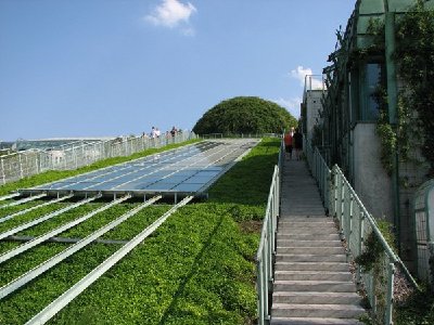 schody na zielony dach